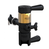 PEGAS Evolution Gold в Челябинске